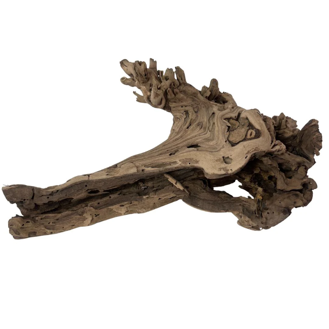 New Branches & Naturals